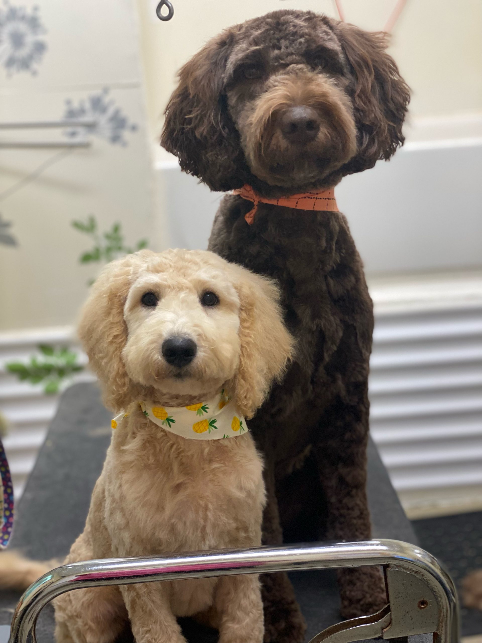 Mother and Daughter, Jenny and Nora