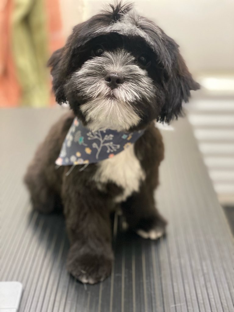 Stanley's first groom